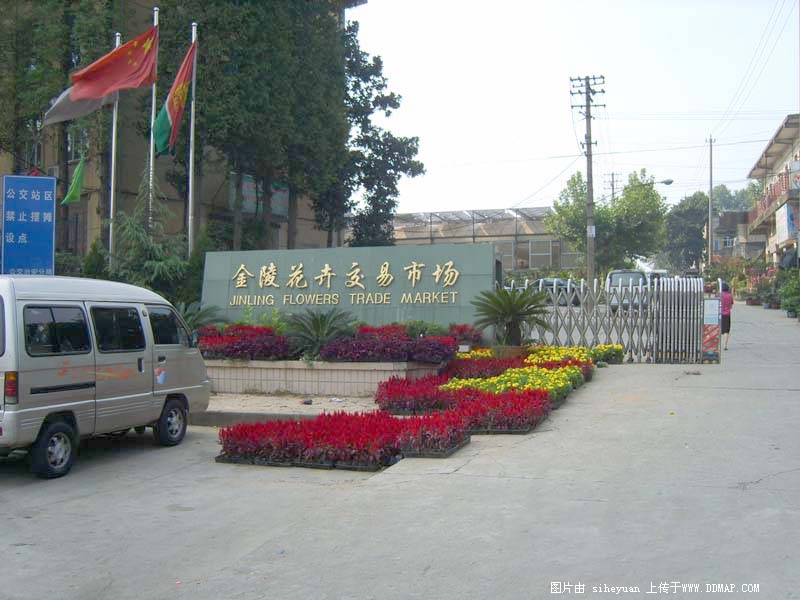 花卉批发市场大全-第3张图片-货源库
