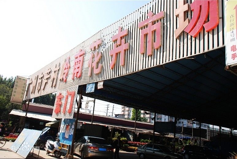 花卉批发市场大全-第5张图片-货源库