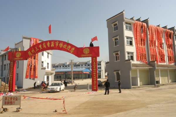 香菇批发市场大全-第2张图片-货源库