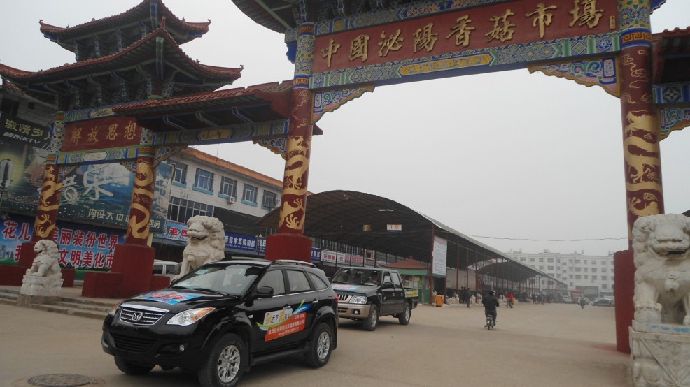 香菇批发市场大全-第5张图片-货源库