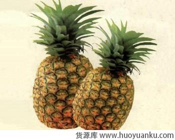水果的美容功效-第4张图片-货源库
